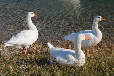 Similar image 6410383