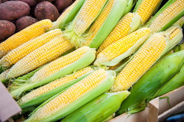 Similar image 6410394