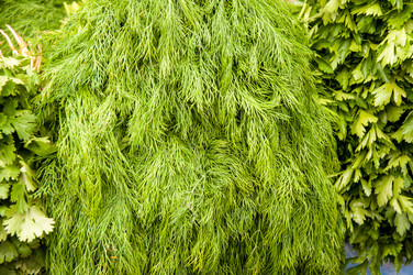 Similar image 6410398