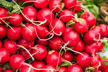 Similar image 6410403