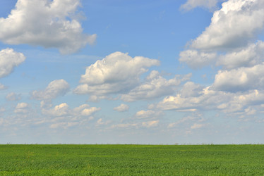 Similar image 6410453