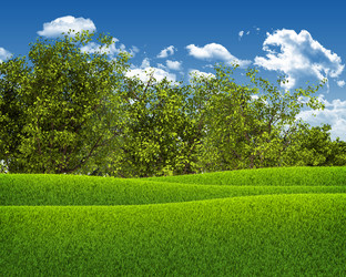 Similar image 6410476