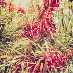 Similar image 6410503