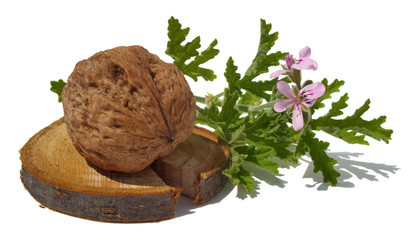 Similar image 6410526