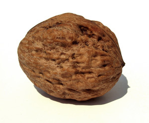 Similar image 6410527