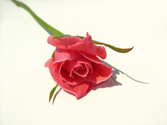 Similar image 6410533