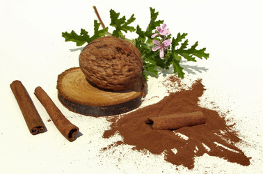 Similar image 6410534