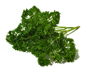 Similar image 6410540