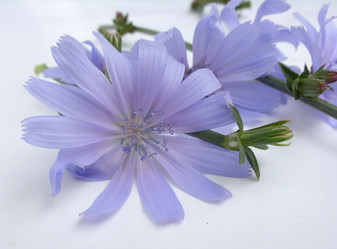 Similar image 6410546