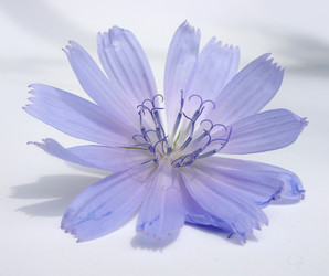 Similar image 6410547