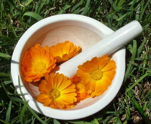 Similar image 6410549