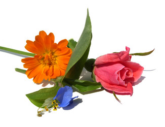 Similar image 6410579