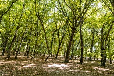 Similar image 6410829