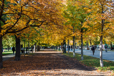 Similar image 6411024