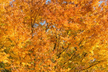 Similar image 6411138