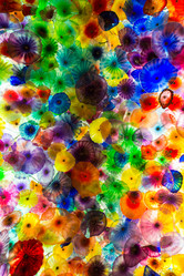 Similar image 6411243