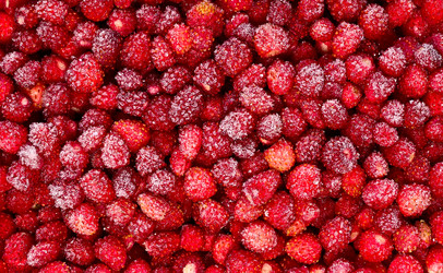 Similar image 6411264