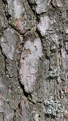 Similar image 6411322