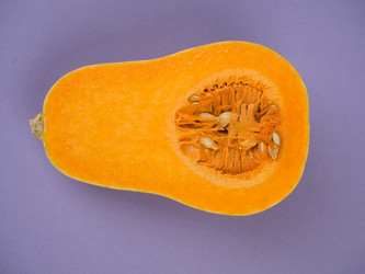 Similar image 6411490