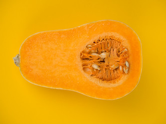 Similar image 6411493