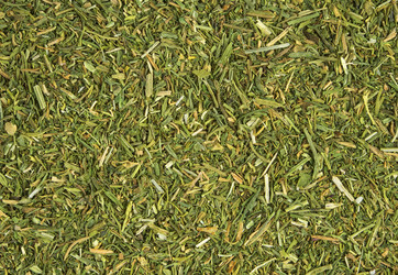 Similar image 6411507