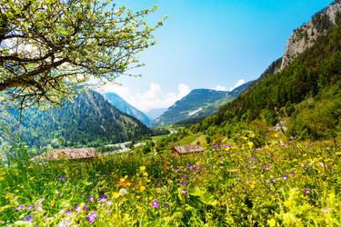 Similar image 6411848