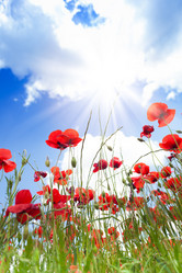 Similar image 6411850