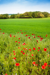 Similar image 6411851