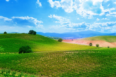 Similar image 6411852