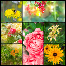 Similar image 6411873