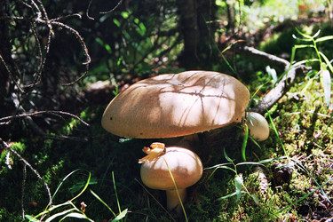 Similar image 6411881