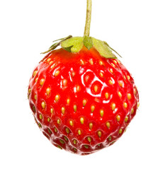 Similar image 6411894