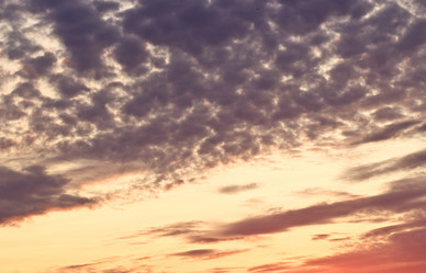 Similar image 6411896