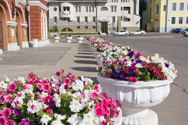 Similar image 6411945