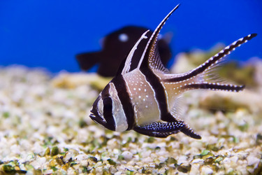 Similar image 6411953