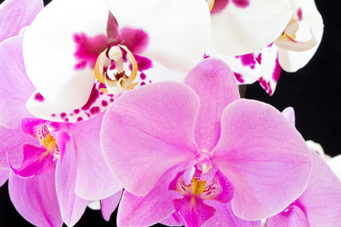 Similar image 6411960