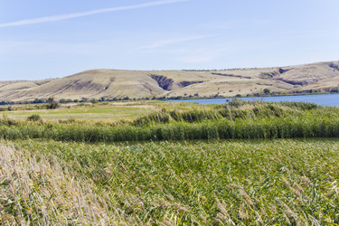 Similar image 6411962