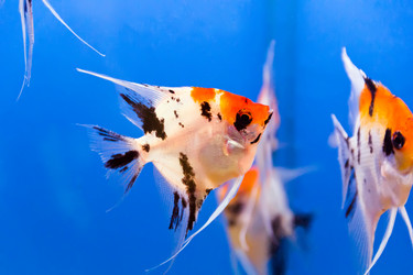 Similar image 6411964