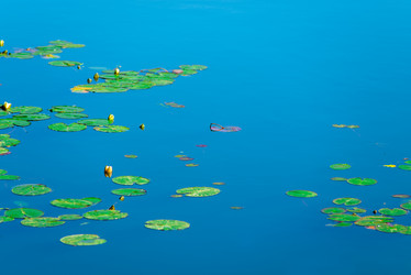 Similar image 6412000