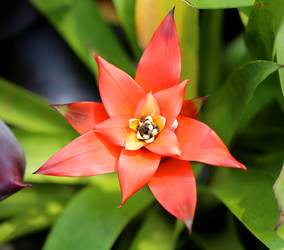 Similar image 6412006