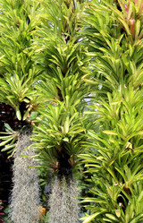 Similar image 6412007