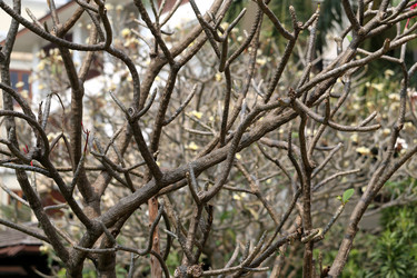 Similar image 6412009