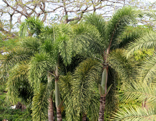 Similar image 6412010