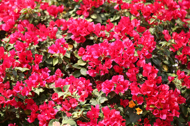 Similar image 6412012