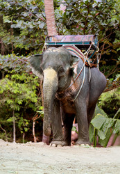 Similar image 6412014