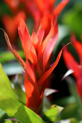 Similar image 6412015