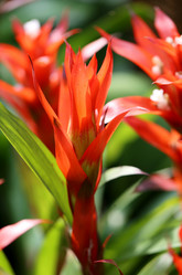 Similar image 6412020