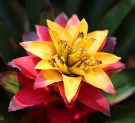 Similar image 6412023