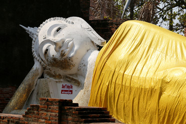 Similar image 6412036