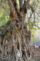 Similar image 6412038